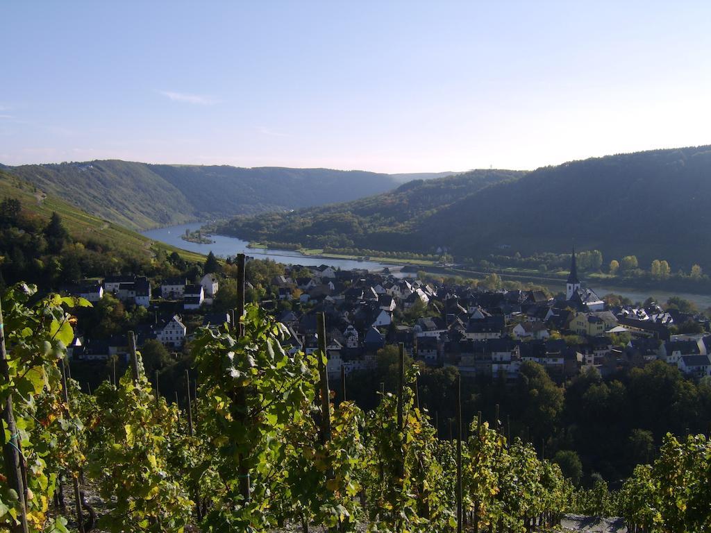 Appartamento Weingut Matthias Dauns Reil Esterno foto