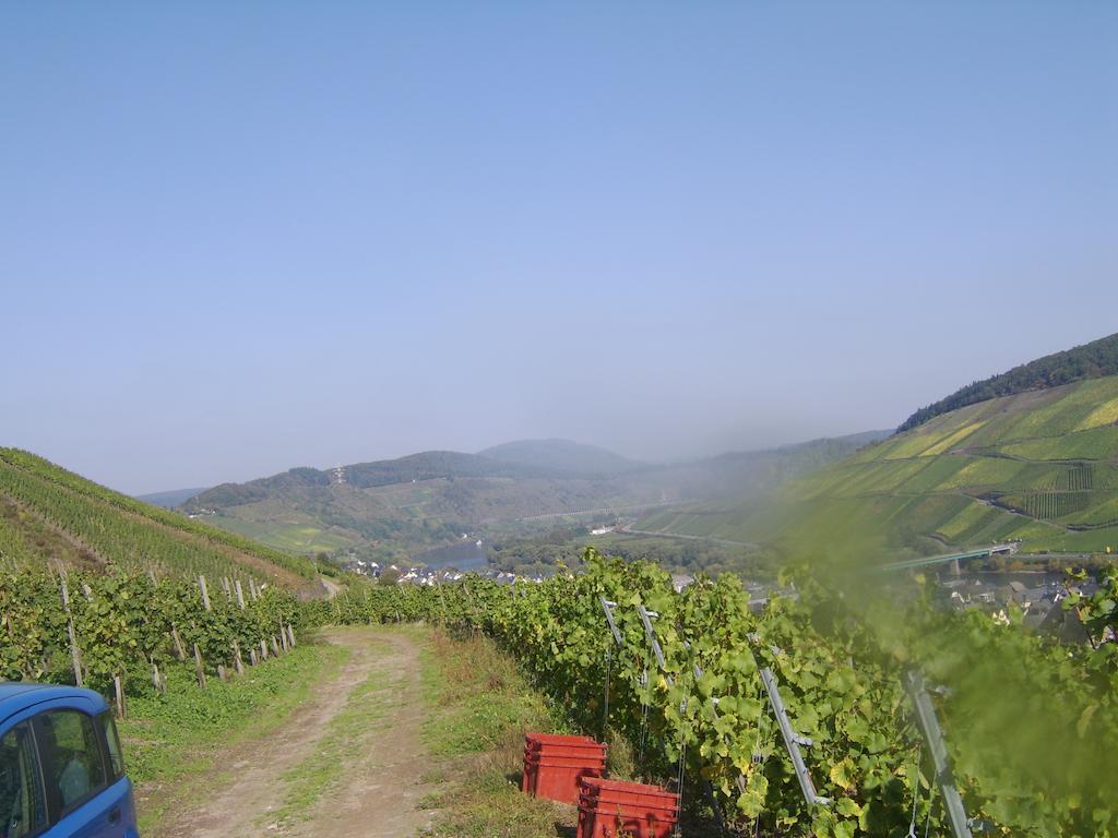 Appartamento Weingut Matthias Dauns Reil Esterno foto