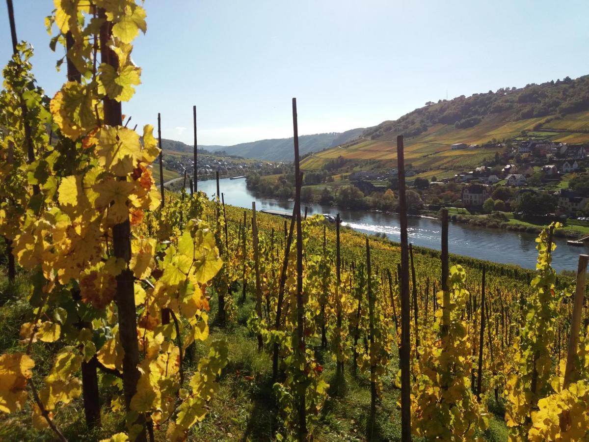 Appartamento Weingut Matthias Dauns Reil Esterno foto