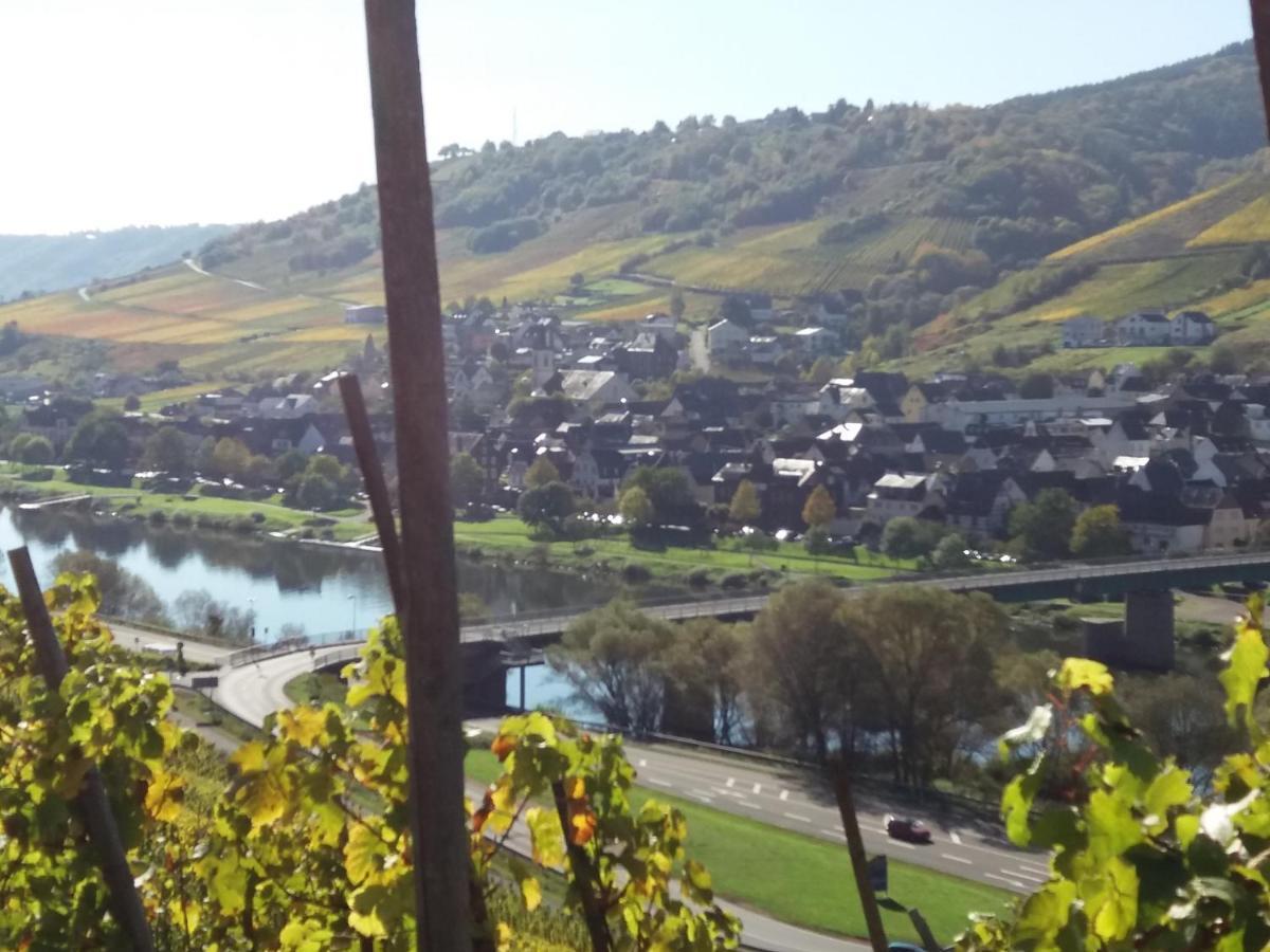 Appartamento Weingut Matthias Dauns Reil Esterno foto